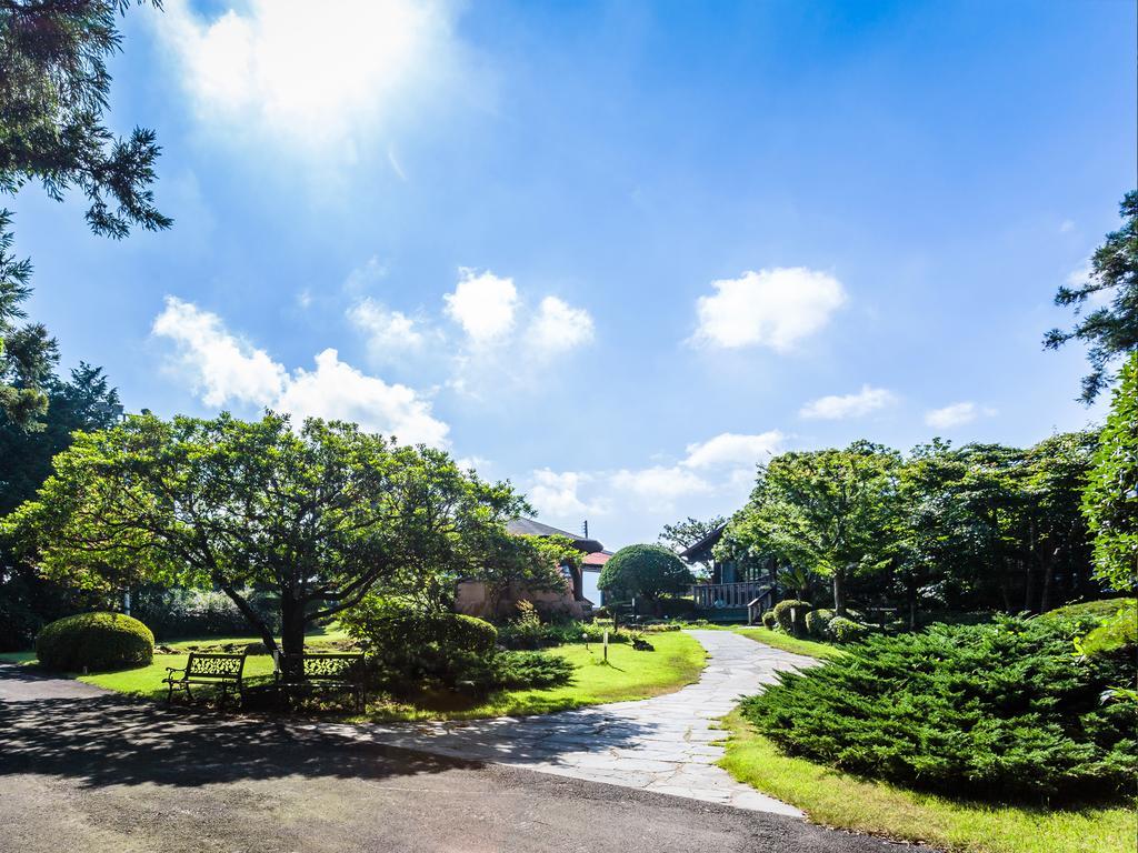Kasan Tobang Hostel Seogwipo-stad Buitenkant foto